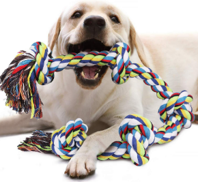 Picture for category DOG TOYS UNDER $15